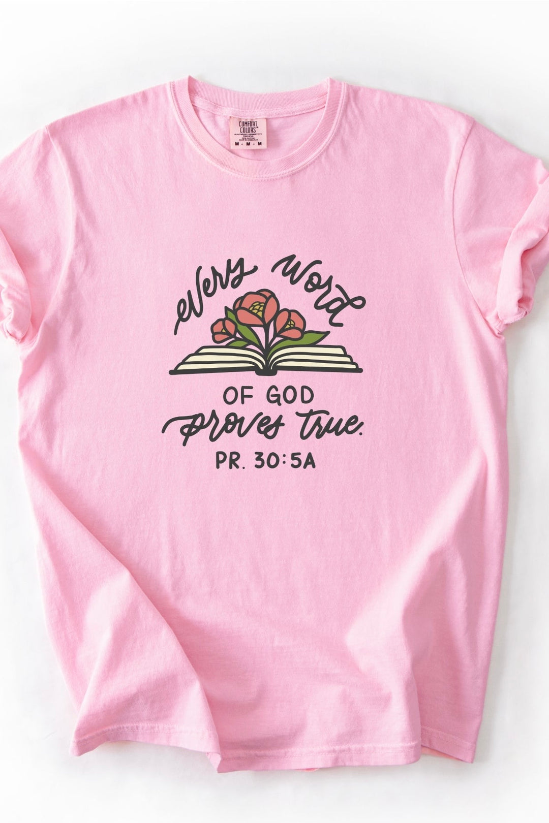 Proverbs 30:5 Comfort Colors Tee