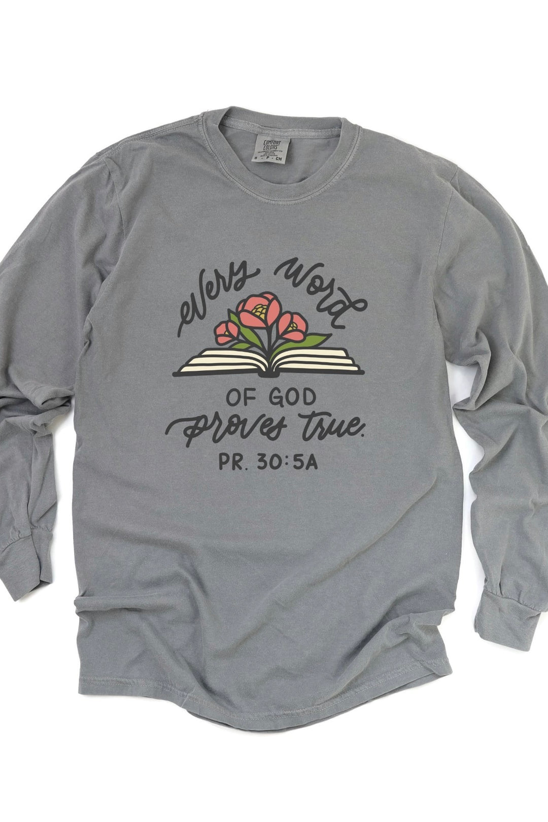 Proverbs 30:5 Comfort Colors Long Sleeve Tee