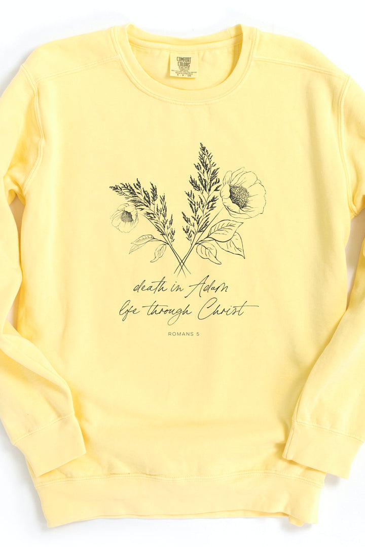 Romans 5 Crewneck Pullover