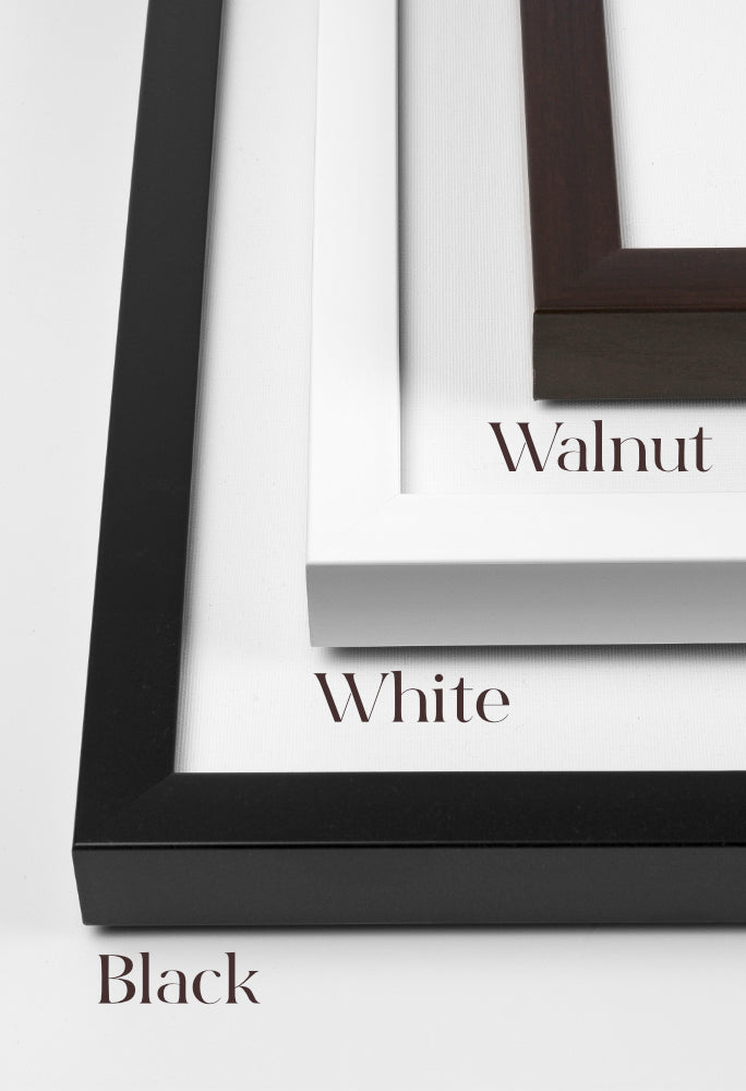 Offering & Privilege, Elisabeth Elliot