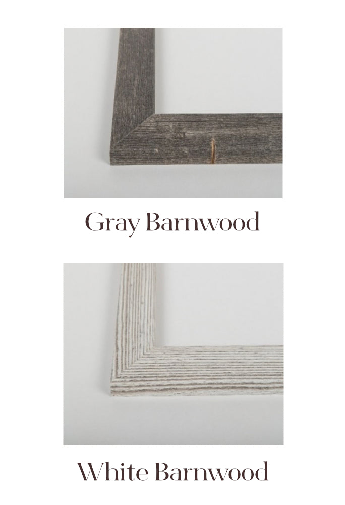 Offering & Privilege, Elisabeth Elliot