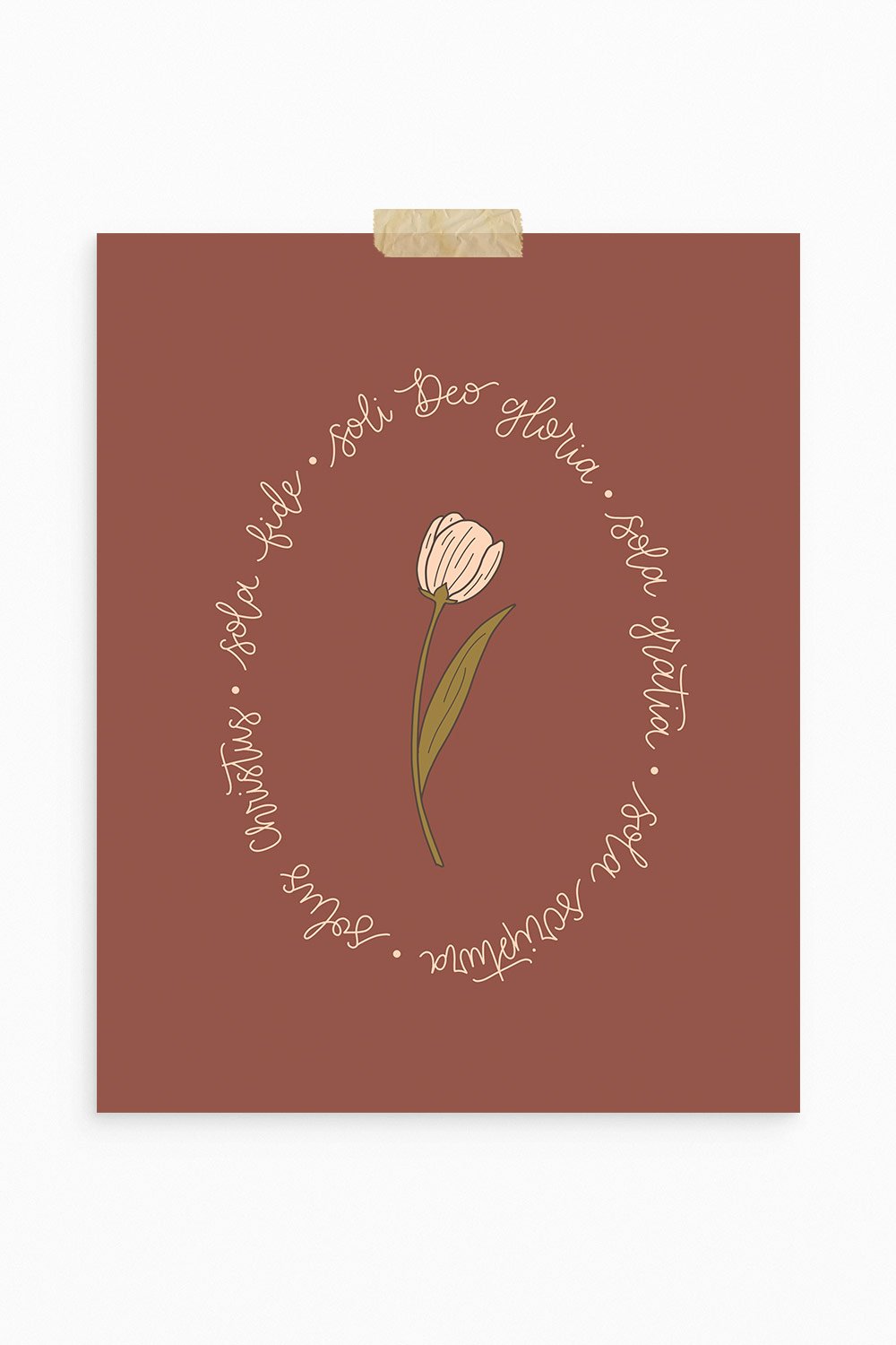 Five Solas + Tulip