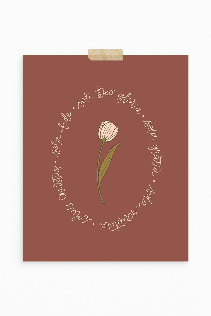 Five Solas + Tulip