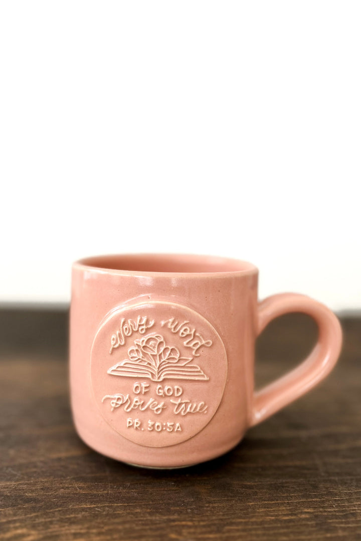 “Every Word of God”/Proverbs 30:5a Mug