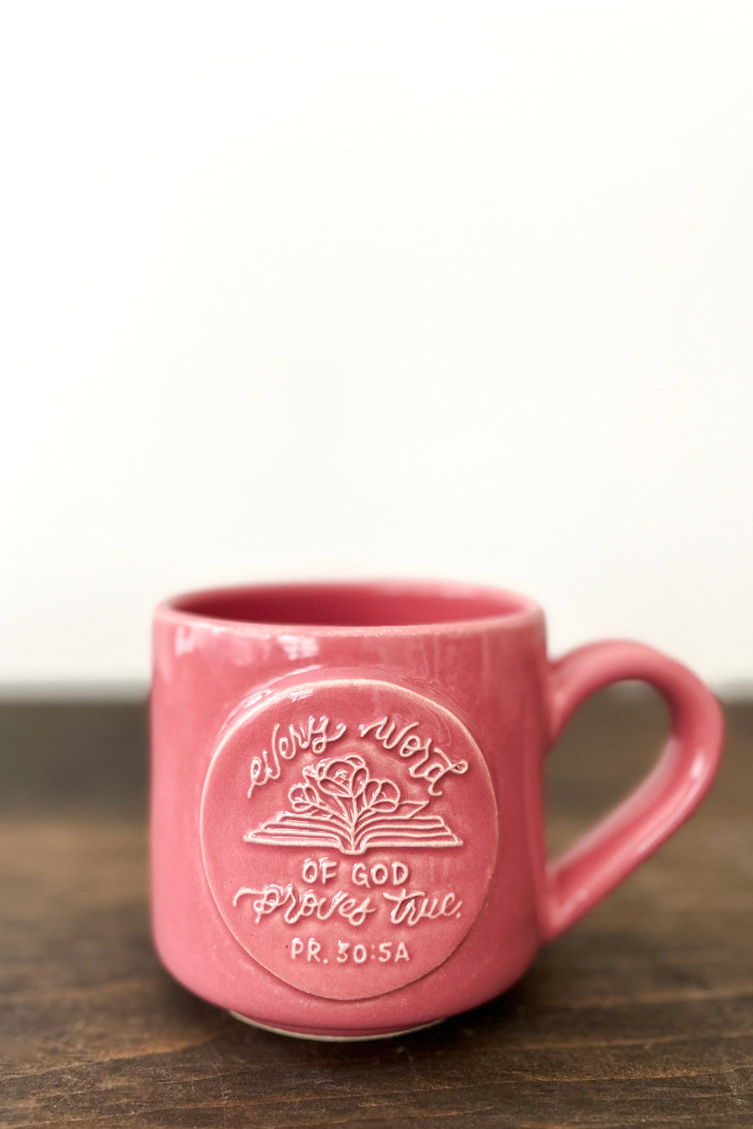 “Every Word of God”/Proverbs 30:5a Mug