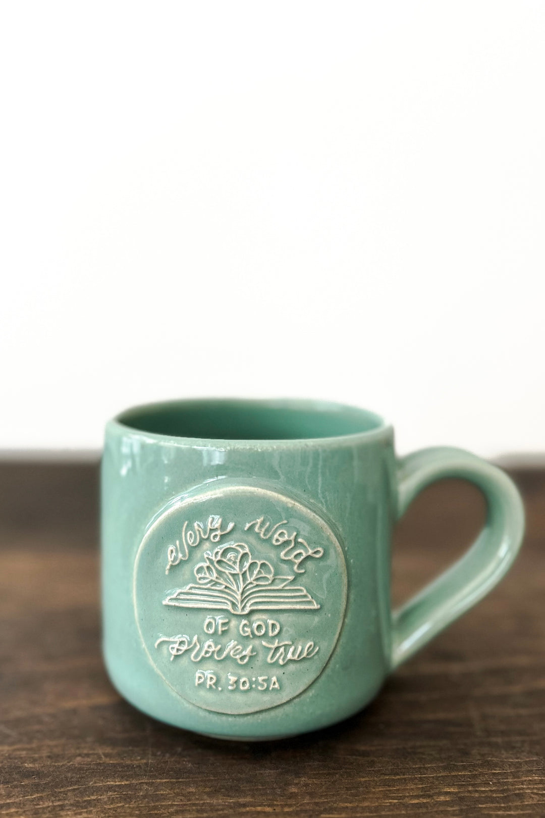 “Every Word of God”/Proverbs 30:5a Mug