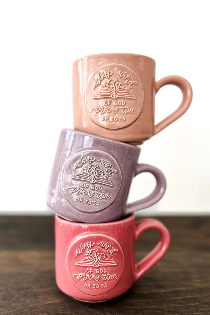 “Every Word of God”/Proverbs 30:5a Mug