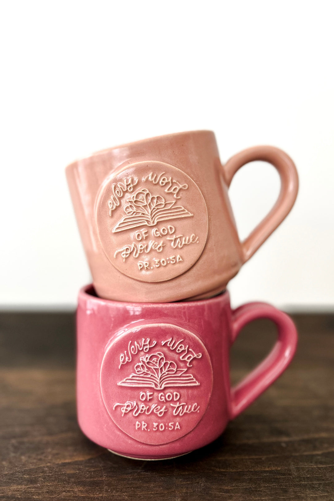 “Every Word of God”/Proverbs 30:5a Mug