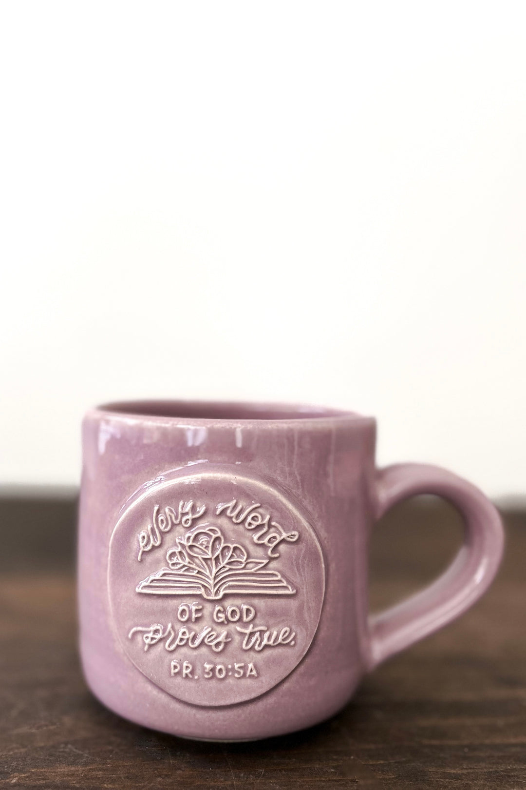 “Every Word of God”/Proverbs 30:5a Mug