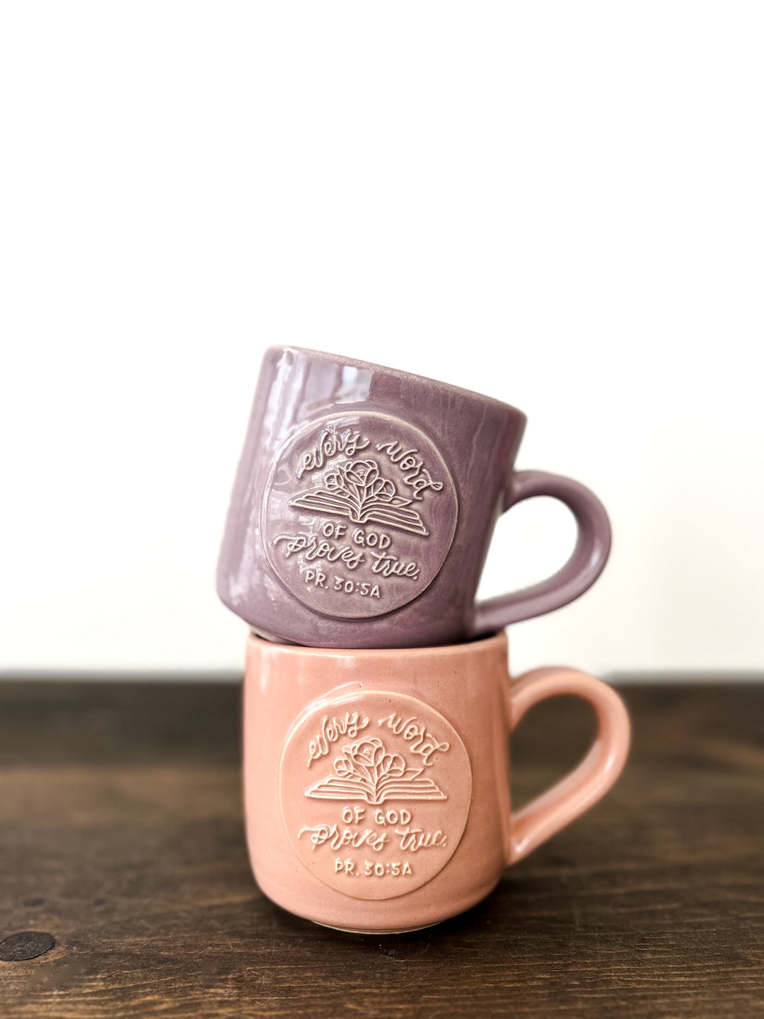 “Every Word of God”/Proverbs 30:5a Mug