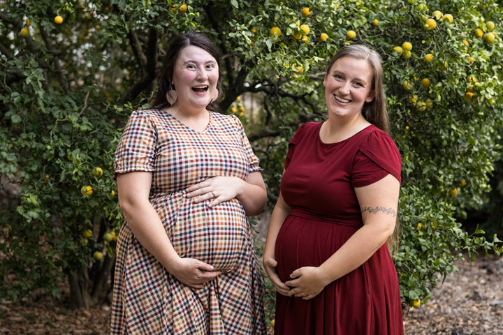 Harvest Gingham Nursing Dress