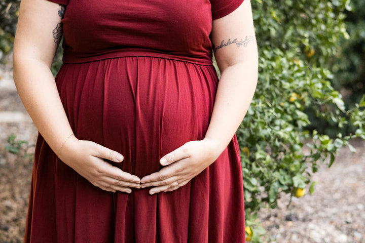Merlot Nursing Dress