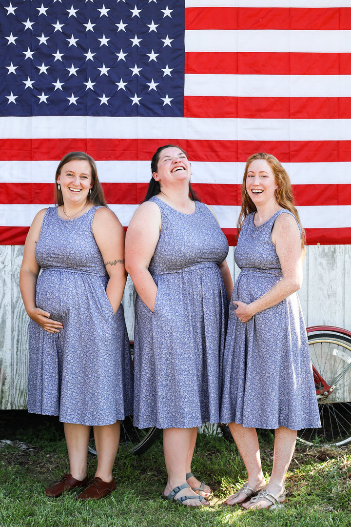 Dayspring Nursing Dress