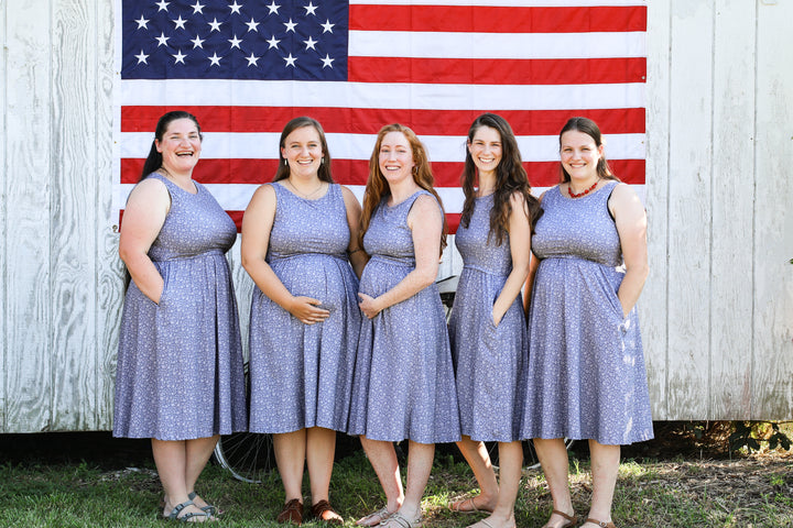 Dayspring Nursing Dress